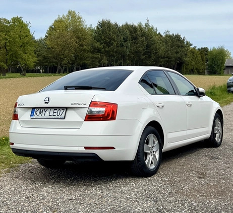 Skoda Octavia cena 64890 przebieg: 137600, rok produkcji 2017 z Myślenice małe 137